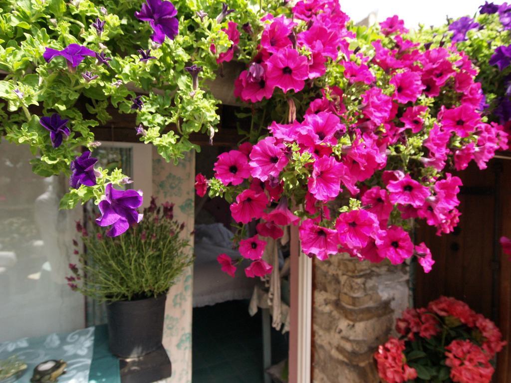 Le Petit Chateau Dolceacqua Exterior photo